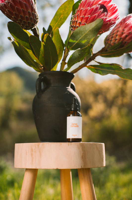 Santo Remedio Body Oil